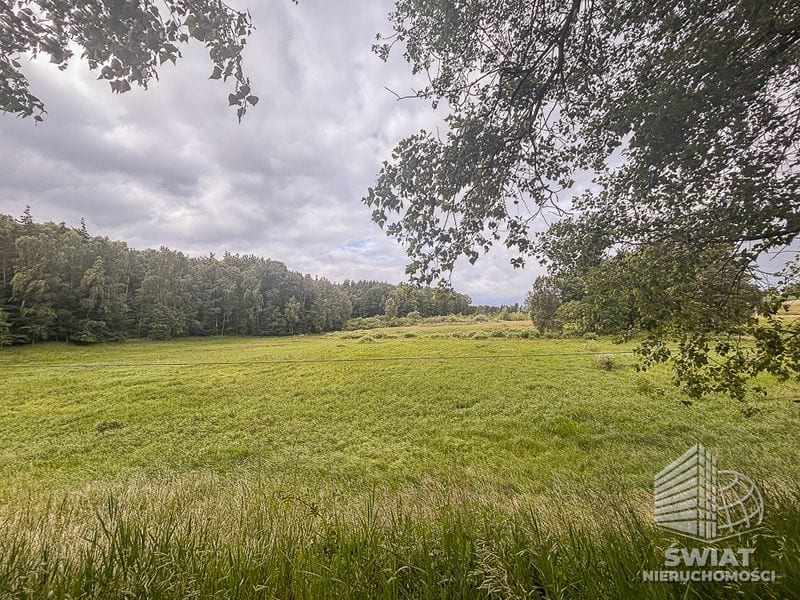 Działka na sprzedaż, Czaplinek Piaseczno, 30010 m² — FKT25236, zdjęcie 3