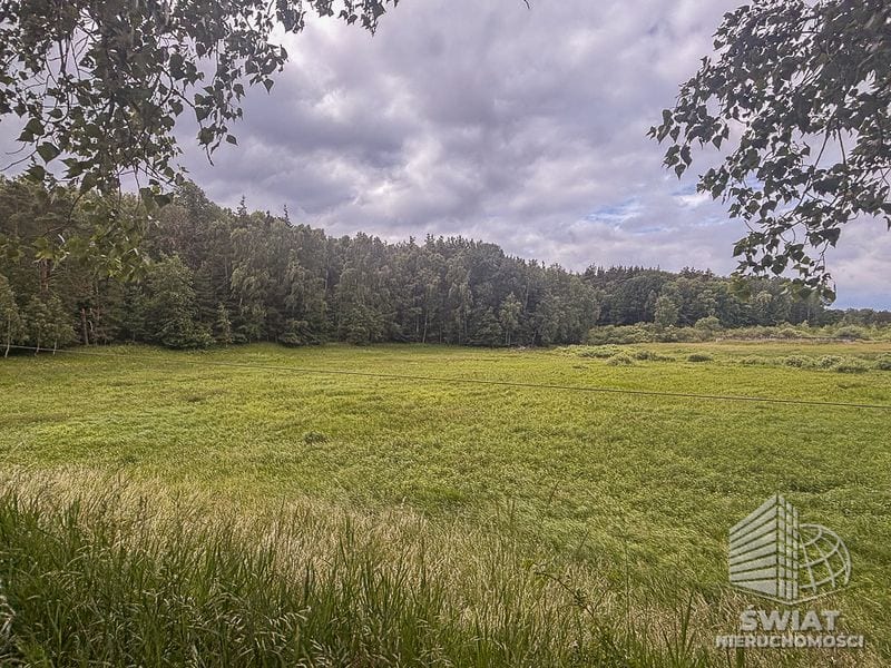 Działka na sprzedaż, Czaplinek Piaseczno, 30010 m² — FKT25236, zdjęcie 4
