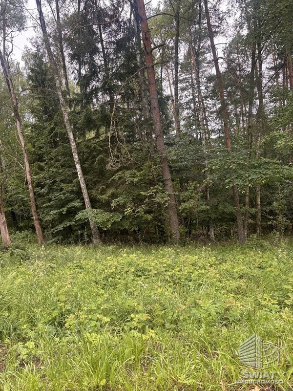 Działka na sprzedaż, Czaplinek Piaseczno, 30010 m² — FKT25236, zdjęcie 5
