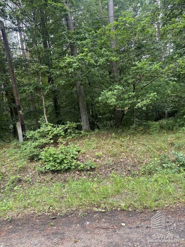 Działka na sprzedaż, Czaplinek Piaseczno, 30010 m² — FKT25236, zdjęcie 6