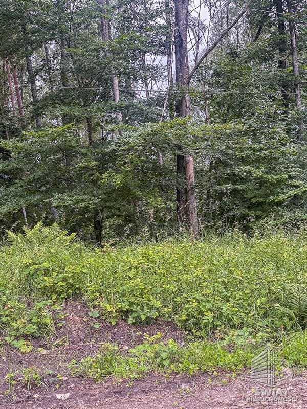 Działka na sprzedaż, Czaplinek Piaseczno, 30010 m² — FKT25236, zdjęcie 7