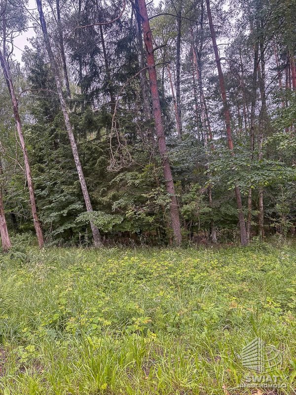 Działka na sprzedaż, Czaplinek Piaseczno, 30010 m² — FKT25236, zdjęcie 8