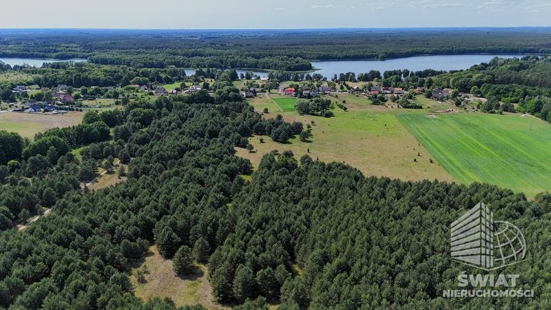 Działka na sprzedaż, Dębno Ostrowiec, 3016 m² — 19/13324/OGS, zdjęcie 3