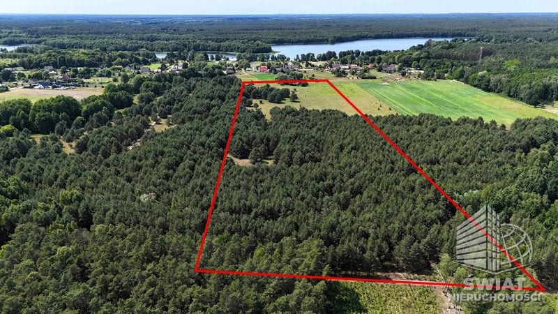 Działka na sprzedaż, Dębno Ostrowiec, 3016 m² — 19/13324/OGS, zdjęcie 4