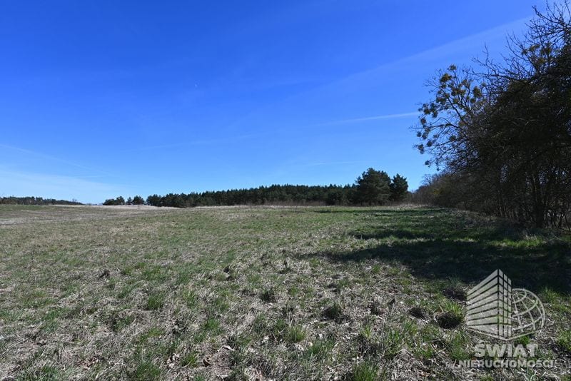 Działka na sprzedaż, Dobra (szczecińska) Buk, 13579 m² — PMR25310, zdjęcie 6
