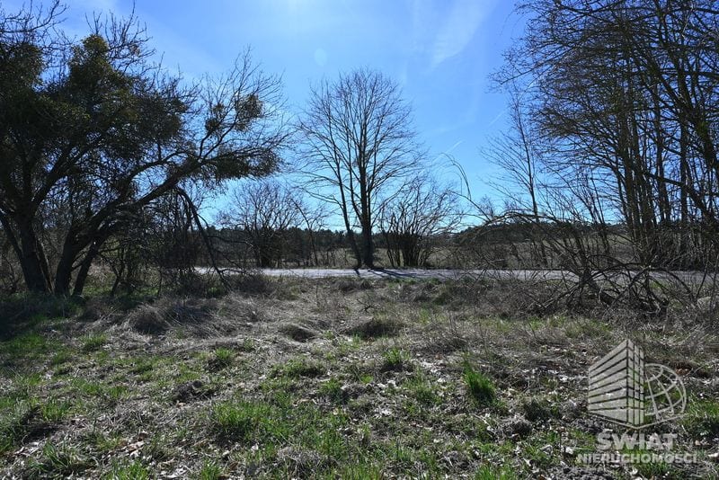 Działka na sprzedaż, Dobra (szczecińska) Buk, 13579 m² — PMR25310, zdjęcie 7