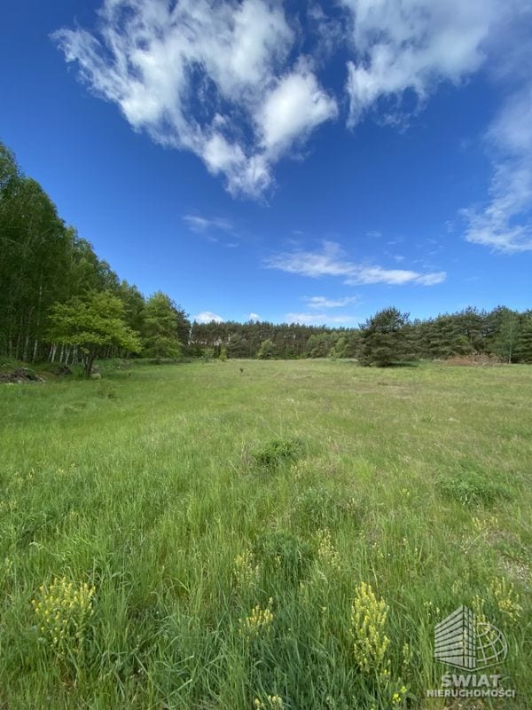 Działka na sprzedaż, Dobra (szczecińska) Buk, 1237 m² — SCN23083, zdjęcie 5