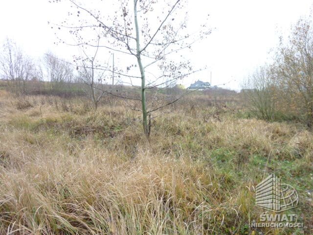 Działka na sprzedaż, Dobra (szczecińska) Dobra, 1148 m² — INW27825, zdjęcie 3