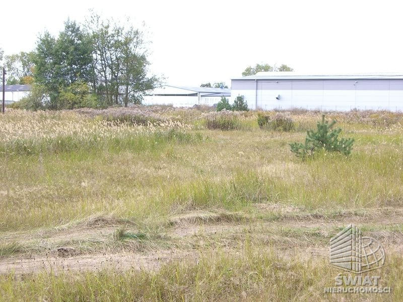 Działka na sprzedaż, Dobra (szczecińska) Dobra, 3216 m² — INW33975, zdjęcie 5