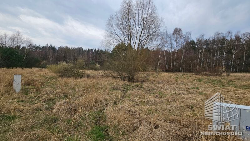 Działka na sprzedaż, Dobra (szczecińska) Dołuje, 2938 m² — MOJ22038, zdjęcie 7