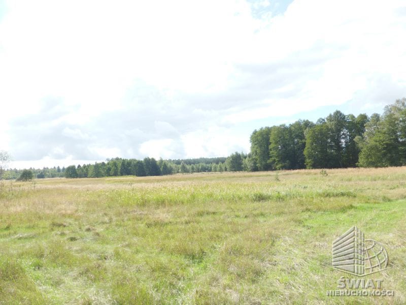Działka na sprzedaż, Dobra (szczecińska) Grzepnica, 14000 m² — GAN20876, zdjęcie 1