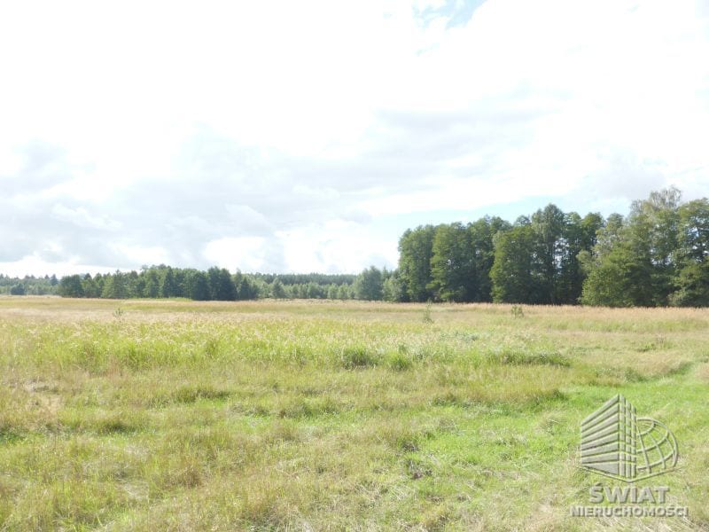 Działka na sprzedaż, Dobra (szczecińska) Grzepnica, 14000 m² — GAN20876, zdjęcie 3