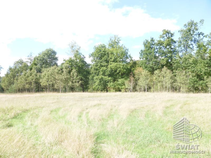 Działka na sprzedaż, Dobra (szczecińska) Grzepnica, 14000 m² — GAN20876, zdjęcie 4