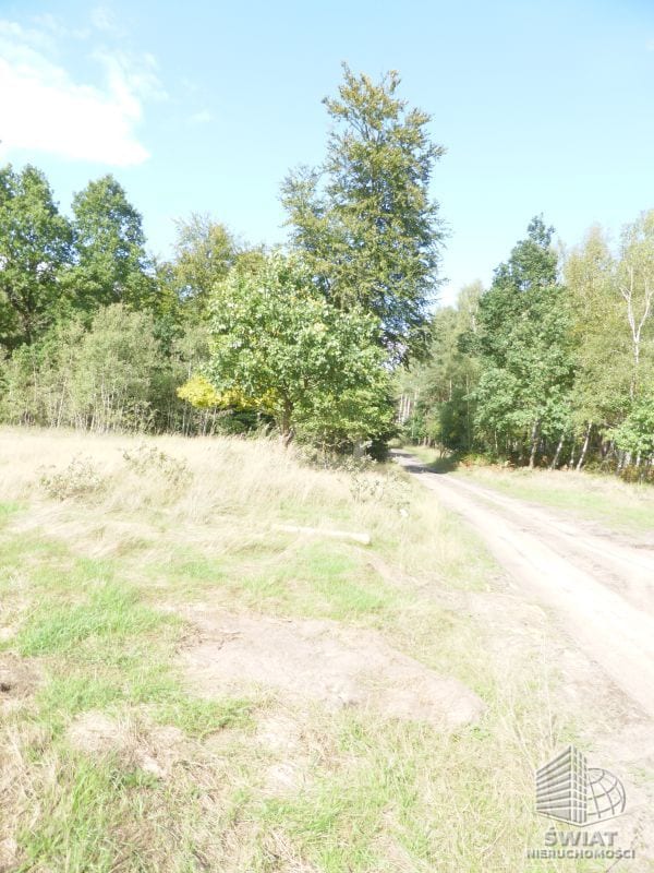 Działka na sprzedaż, Dobra (szczecińska) Grzepnica, 14000 m² — GAN20876, zdjęcie 5