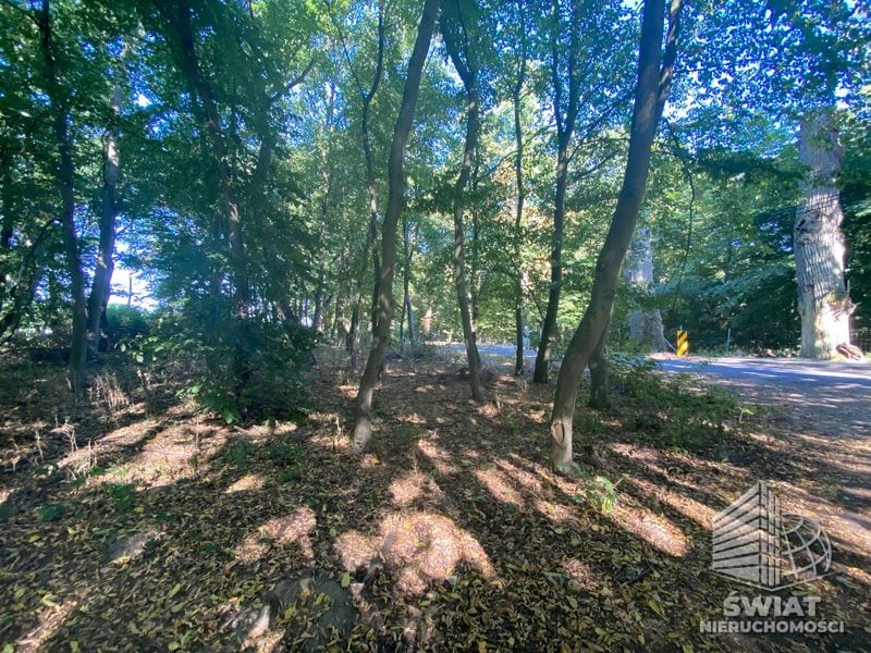 Działka na sprzedaż, Dobra (szczecińska) Kościno, 3066 m² — SCN22515, zdjęcie 4