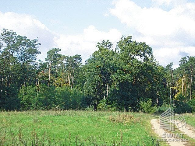 Działka na sprzedaż, Dobra (szczecińska) Kościno, 1535 m² — SCN22719, zdjęcie 4