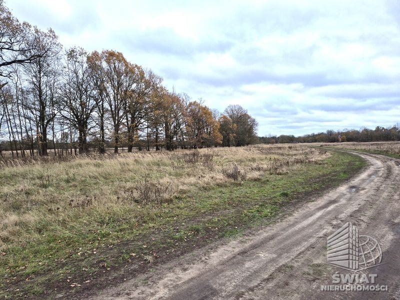 Działka na sprzedaż, Dobra (szczecińska) Łęgi, 3060 m² — CIT25059, zdjęcie 1