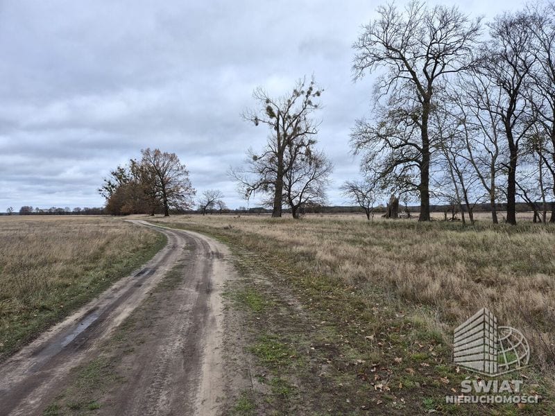 Działka na sprzedaż, Dobra (szczecińska) Łęgi, 3060 m² — CIT25059, zdjęcie 2