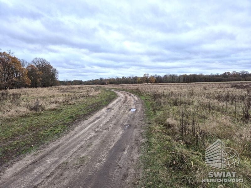 Działka na sprzedaż, Dobra (szczecińska) Łęgi, 3060 m² — CIT25059, zdjęcie 3