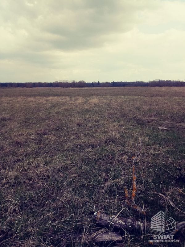 Działka na sprzedaż, Dobra (szczecińska) Łęgi, 3219 m² — INW29285, zdjęcie 2