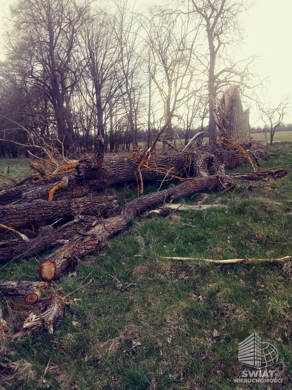 Działka na sprzedaż, Dobra (szczecińska) Łęgi, 3219 m² — INW29285, zdjęcie 5