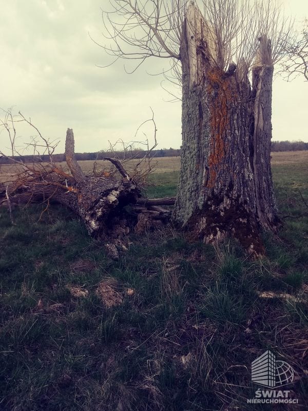 Działka na sprzedaż, Dobra (szczecińska) Łęgi, 3219 m² — INW29285, zdjęcie 6