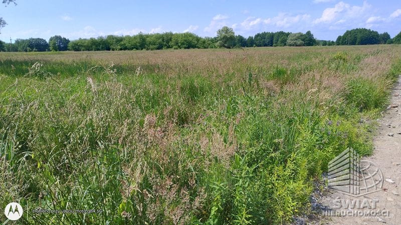 Działka na sprzedaż, Dobra (szczecińska) Łęgi, 3003 m² — KOM31275, zdjęcie 1