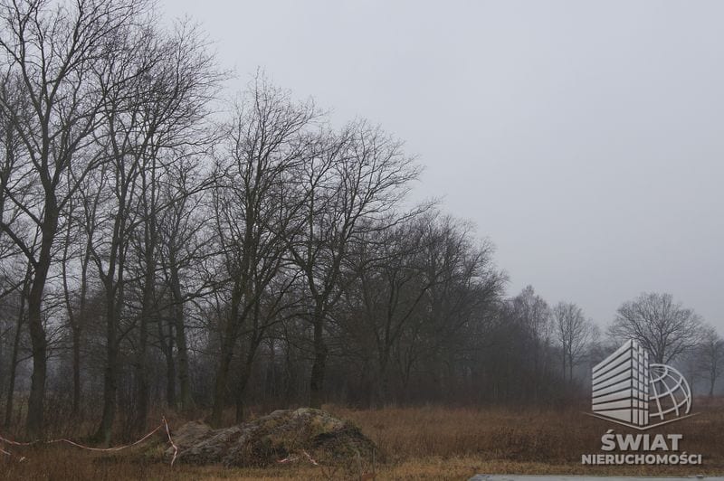 Działka na sprzedaż, Dobra (szczecińska) Rzędziny, 1000 m² — CIE21682, zdjęcie 3
