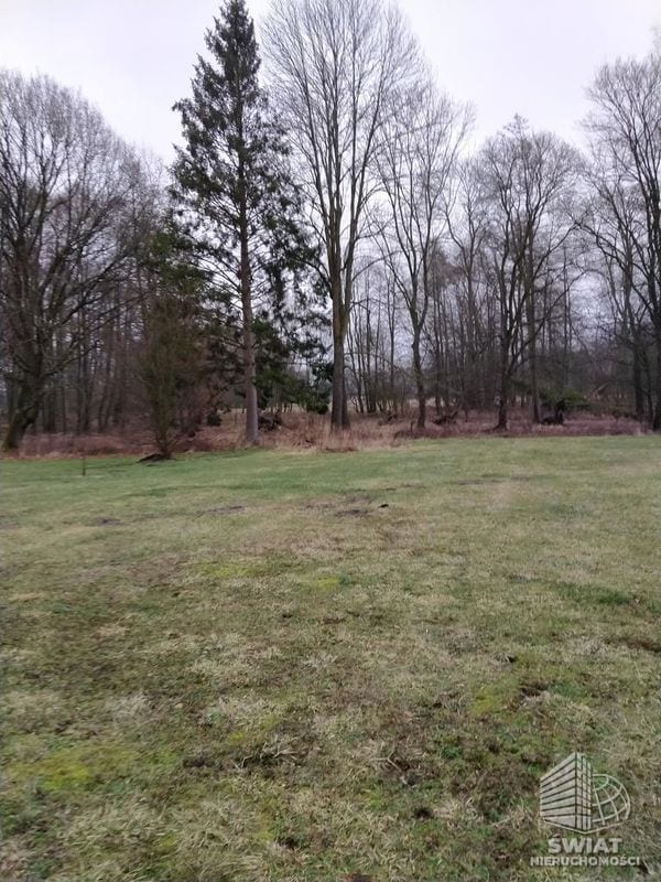 Działka na sprzedaż, Dobra (szczecińska) Rzędziny, 2625 m² — INW30514, zdjęcie 6