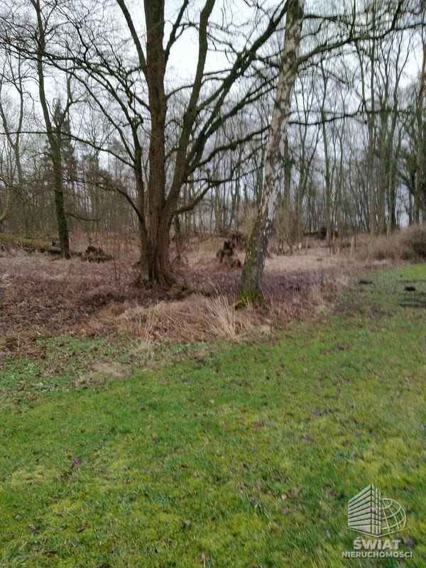 Działka na sprzedaż, Dobra (szczecińska) Rzędziny, 2625 m² — INW30514, zdjęcie 7