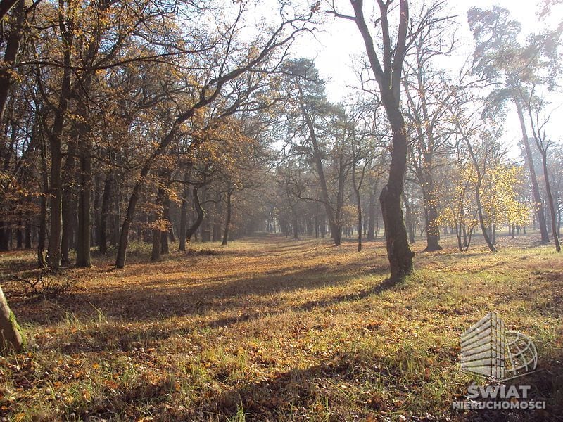 Działka na sprzedaż, Dobra (szczecińska) Rzędziny, 2041 m² — INW30517, zdjęcie 7