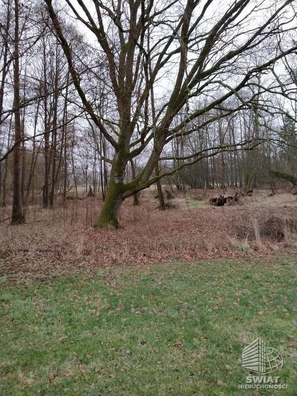 Działka na sprzedaż, Dobra (szczecińska) Rzędziny, 2041 m² — INW30517, zdjęcie 8