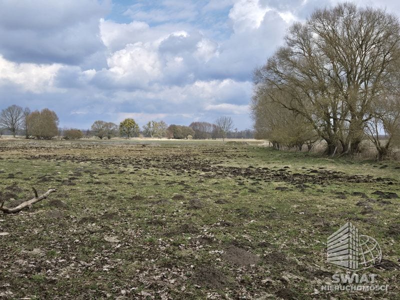Działka na sprzedaż, Dobra (szczecińska) Rzędziny, 3009 m² — PRM20621, zdjęcie 1