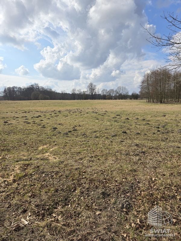Działka na sprzedaż, Dobra (szczecińska) Rzędziny, 3009 m² — PRM20621, zdjęcie 2