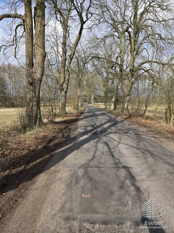 Działka na sprzedaż, Dobra (szczecińska) Rzędziny, 3009 m² — PRM20621, zdjęcie 3