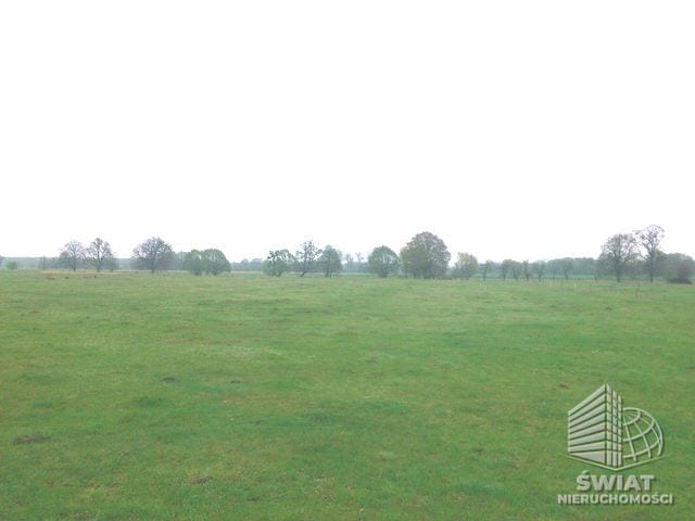Działka na sprzedaż, Dobra (szczecińska) Rzędziny, 3145 m² — SCN22718, zdjęcie 4