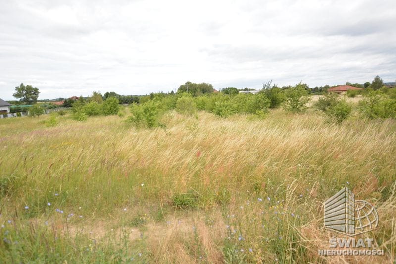 Działka na sprzedaż, Dobra (szczecińska) Wąwelnica, 3166 m² — ELT34408, zdjęcie 5