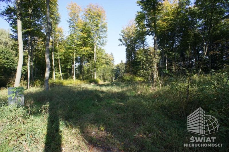 Działka na sprzedaż, Dobra, 701 m² — UBR23306, zdjęcie 2