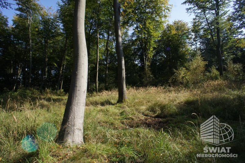 Działka na sprzedaż, Dobra, 701 m² — UBR23306, zdjęcie 3
