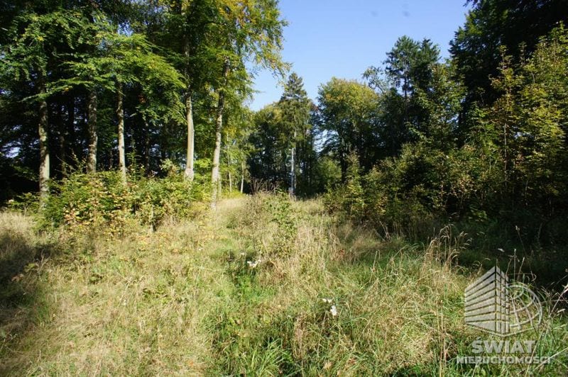 Działka na sprzedaż, Dobra, 701 m² — UBR23306, zdjęcie 4
