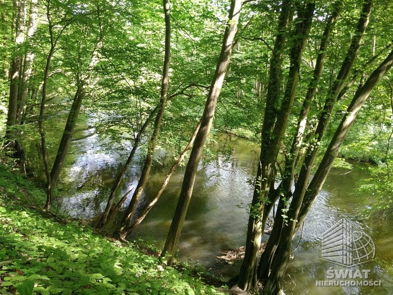 Działka na sprzedaż, Drawno Barnimie, 2010 m² — LGR21780, zdjęcie 5