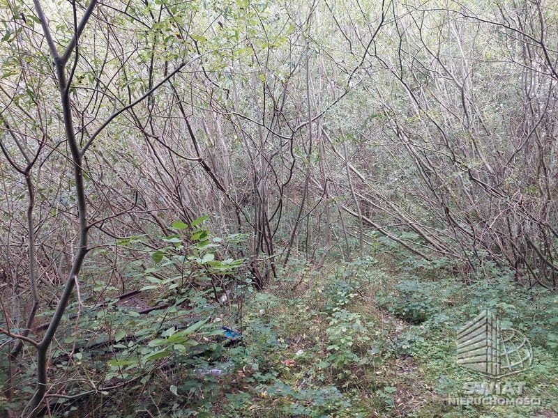 Działka na sprzedaż, Drawno, 13451 m² — LGR21755, zdjęcie 2