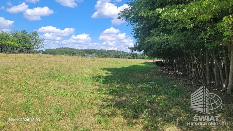 Działka na sprzedaż, Drawno Wiśniewo, 7800 m² — INB20598, zdjęcie 2