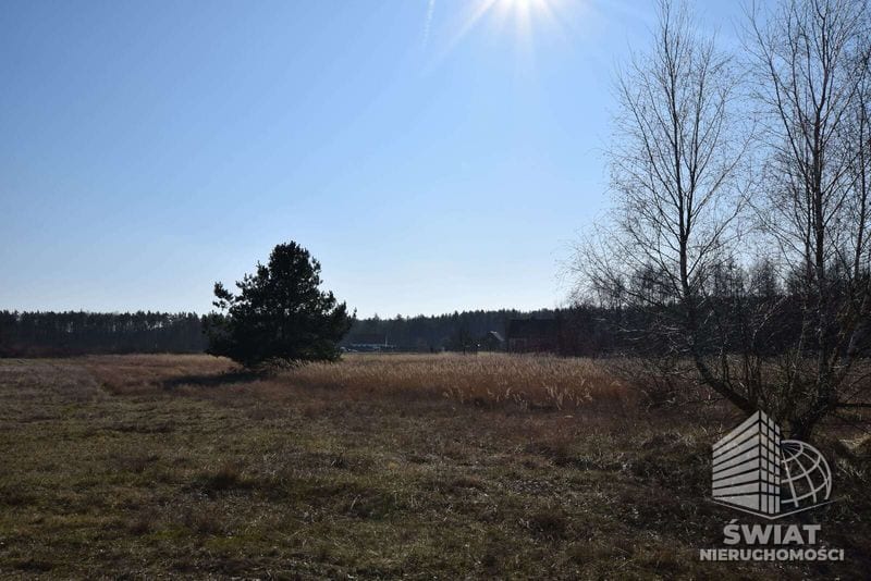 Działka na sprzedaż, Drezdenko Czartowo, 1385 m² — IDN33674, zdjęcie 4