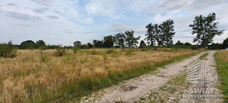 Działka na sprzedaż, Goleniów Białuń, 3113 m² — MNI21970, zdjęcie 6