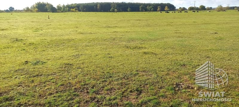 Działka na sprzedaż, Goleniów Borzysławiec, 1947 m² — FIL22328, zdjęcie 2