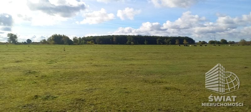 Działka na sprzedaż, Goleniów Borzysławiec, 1947 m² — FIL22328, zdjęcie 3