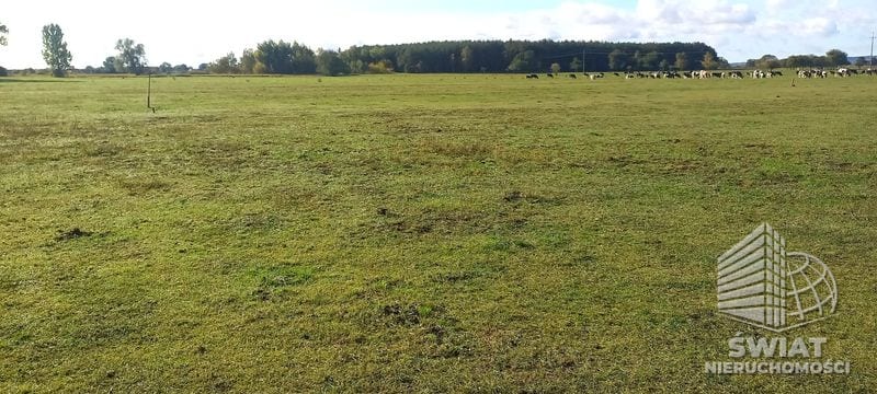 Działka na sprzedaż, Goleniów Borzysławiec, 1947 m² — FIL22328, zdjęcie 7