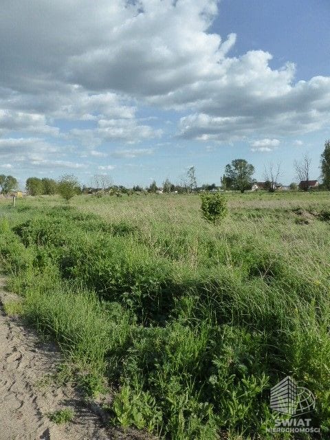 Działka na sprzedaż, Goleniów Czarna Łąka, 3034 m² — GAN21477, zdjęcie 3