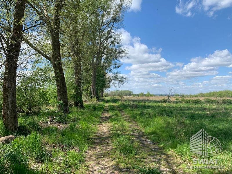 Działka na sprzedaż, Goleniów Kliniska Wielkie, 10073 m² — UBR22534, zdjęcie 1